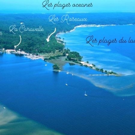 Studio Mansarde Climatise Les Roseaux Bord De Lac Biscarrosse Exterior foto