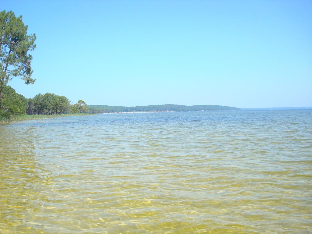 Studio Mansarde Climatise Les Roseaux Bord De Lac Biscarrosse Exterior foto