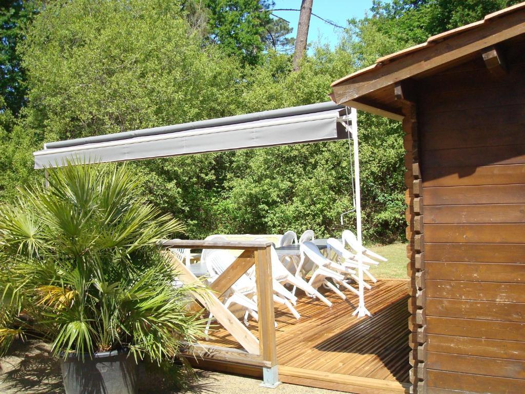 Studio Mansarde Climatise Les Roseaux Bord De Lac Biscarrosse Exterior foto
