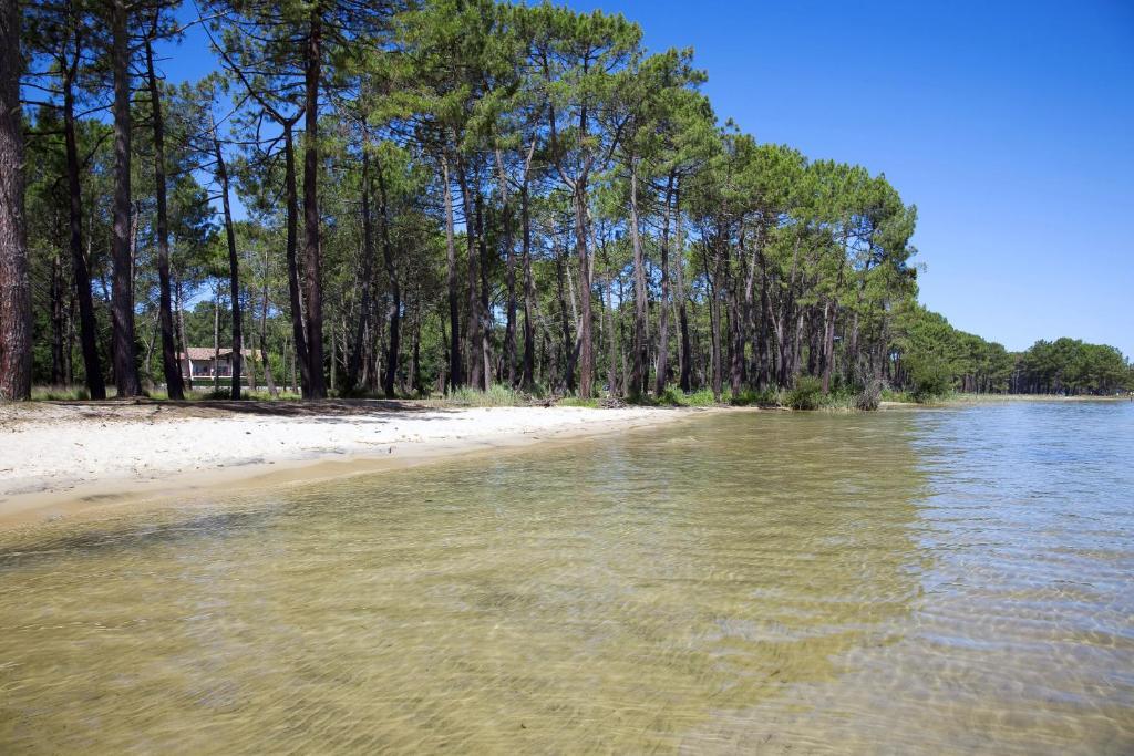 Studio Mansarde Climatise Les Roseaux Bord De Lac Biscarrosse Exterior foto
